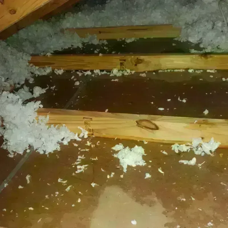 Attic Water Damage in Glen Head, NY